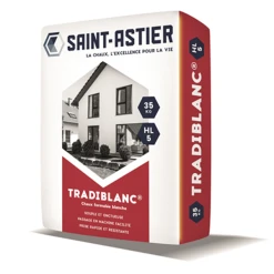 C.E.S.A - Chaux Et Enduits De Saint-Astier Chaux Hydraulique Super Blanche - Tradiblanc HL5 - Sac De 35 KG